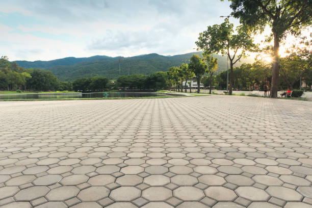 Best Professional Driveway Pavers  in Bruceville Eddy, TX